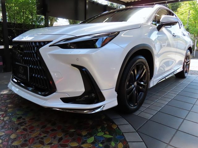 Lexus NX 2023-06 11619-8