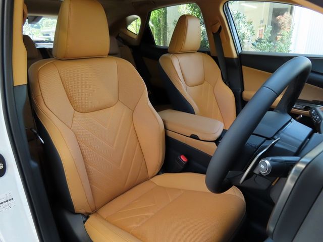 Lexus NX 2023-06 11619-20