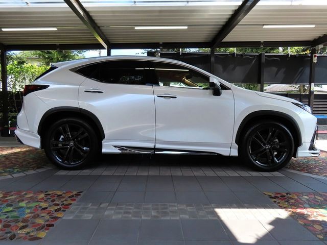 Lexus NX 2023-06 11619-3