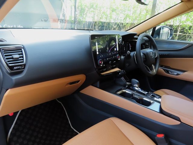 Lexus NX 2023-06 11619-15