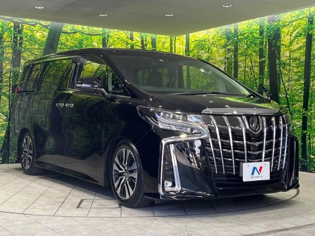 Toyota ALPHARD 2021-11 10941-17