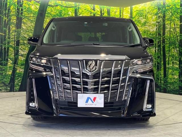 Toyota ALPHARD 2021-11 10941-15