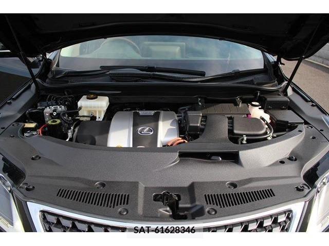 Lexus RX 2019-12 304847-18