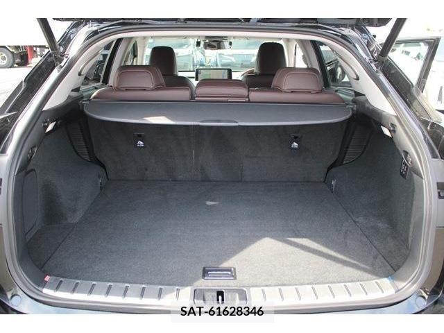 Lexus RX 2019-12 304847-17