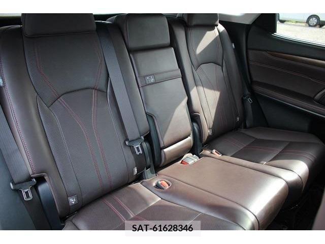 Lexus RX 2019-12 304847-15