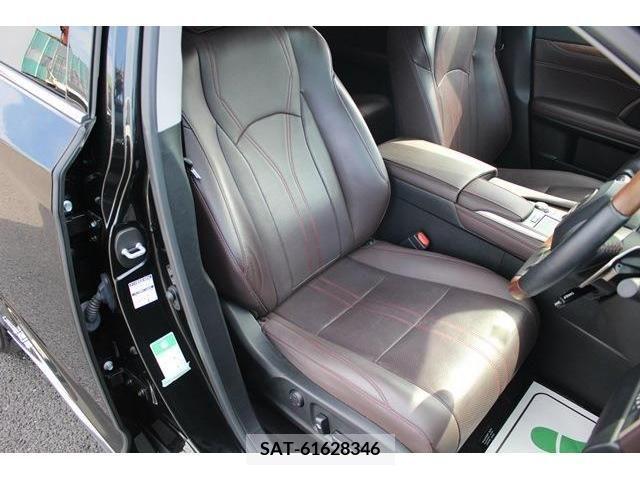 Lexus RX 2019-12 304847-14