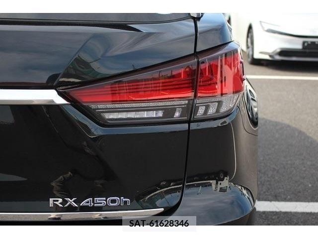 Lexus RX 2019-12 304847-13