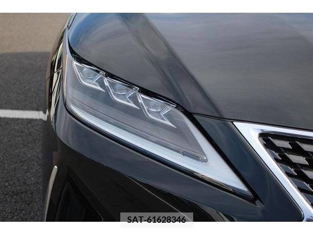 Lexus RX 2019-12 304847-12