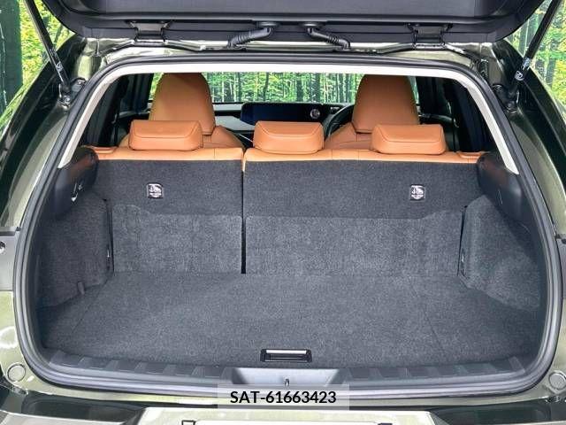 Lexus UX 2021-04 275931-10