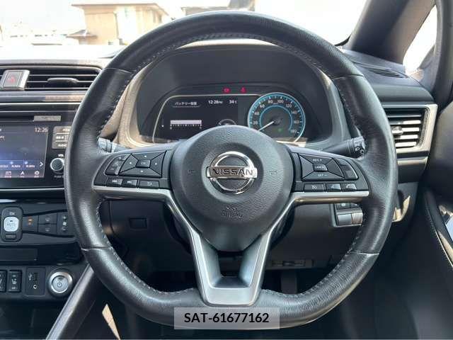 Nissan LEAF 2019-06 367060-11