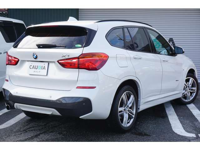 Bmw X1 2018-06 1804-8