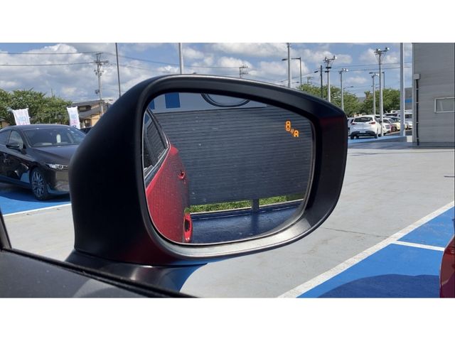 Mazda CX-8 2019-02 4757-26