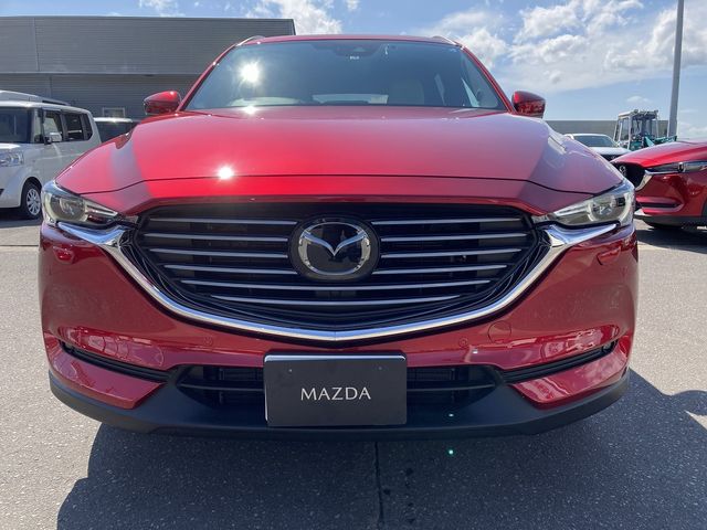 Mazda CX-8 2019-02 4757-1