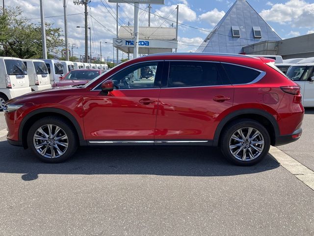 Mazda CX-8 2019-02 4757-7
