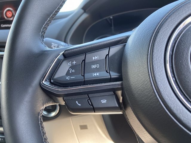 Mazda CX-8 2019-02 4757-14