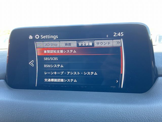 Mazda CX-8 2019-02 4757-19