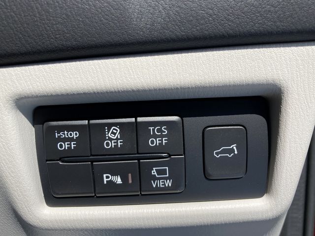 Mazda CX-8 2019-02 4757-21
