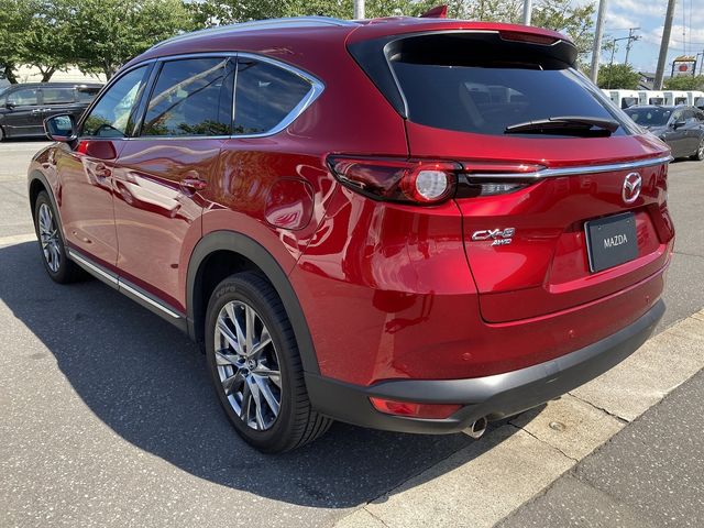Mazda CX-8 2019-02 4757-6
