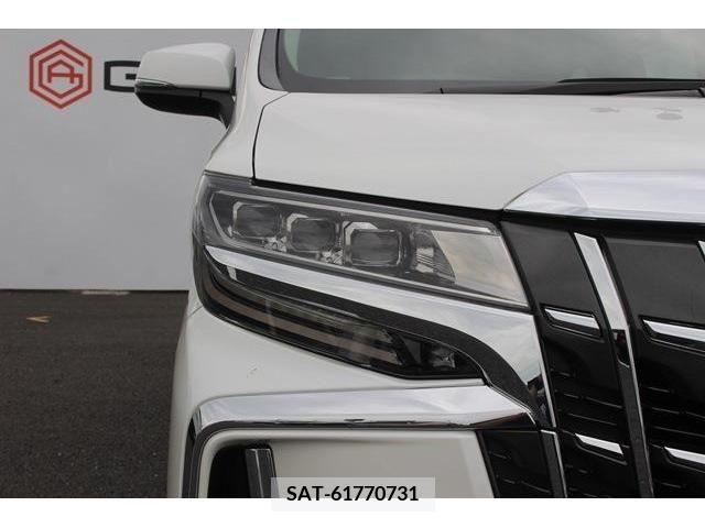 Toyota ALPHARD 2019-02 385744-12