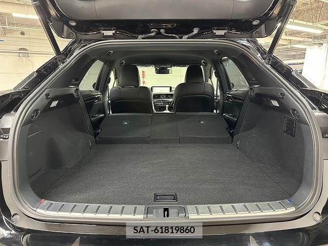 Lexus RX 2016-04 298619-19