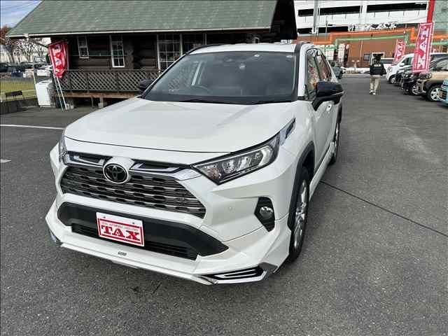Toyota RAV4 2019-08 187093-0