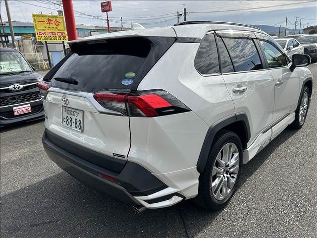 Toyota RAV4 2019-08 187093-13
