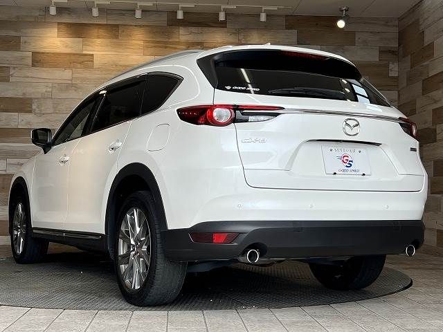 Mazda CX-8 2018-07 11400-16