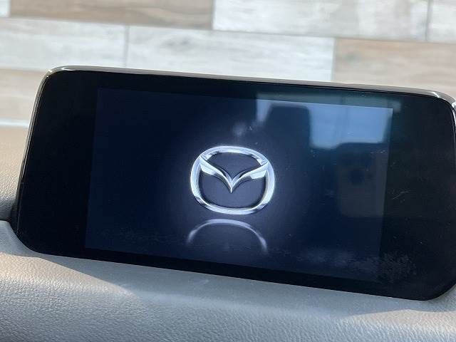 Mazda CX-8 2018-07 11400-2