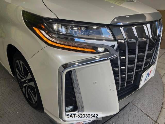 Toyota ALPHARD 2018-11 299461-13