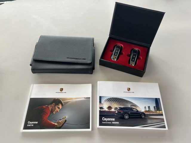 Porsche CAYENNE 2020-03 4741-19