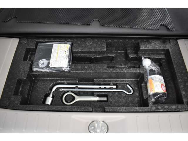Nissan DAYZ ROOX 2019-03 24553-13