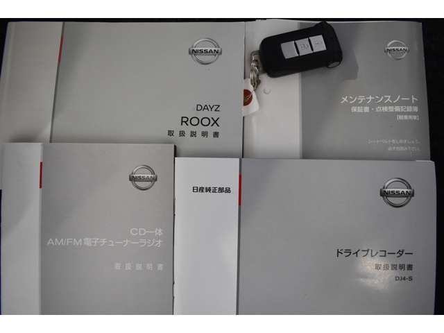 Nissan DAYZ ROOX 2019-03 24553-14
