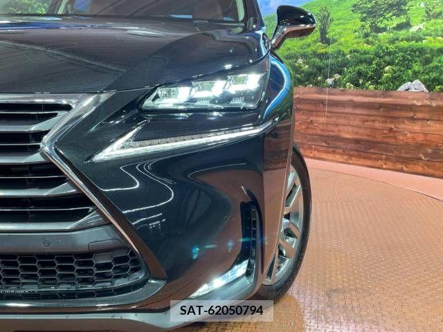 Lexus NX 2016-12 276039-13