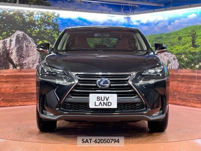 Lexus NX 2016-12 276039-14