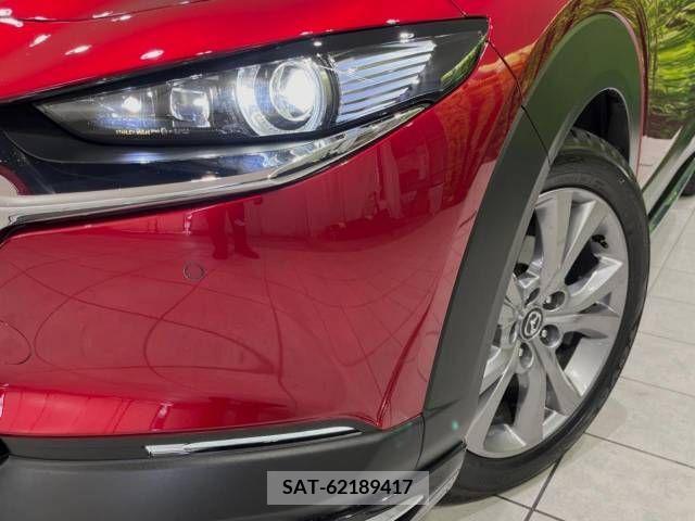 Mazda CX-30 2022-02 377084-12