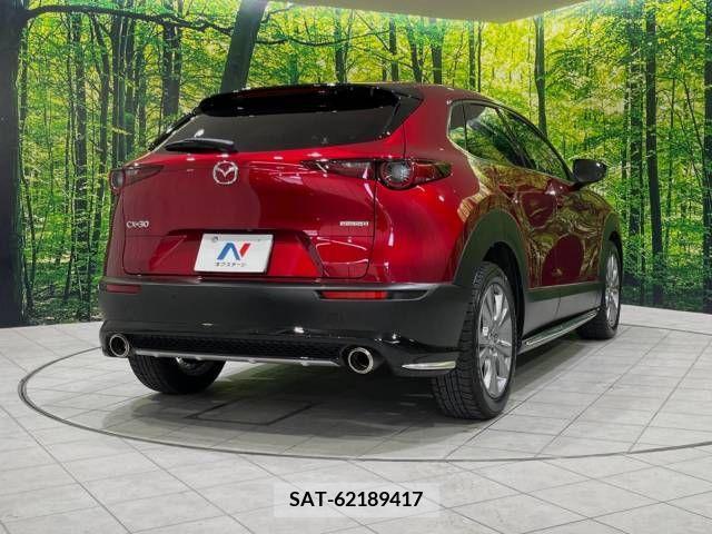Mazda CX-30 2022-02 377084-17