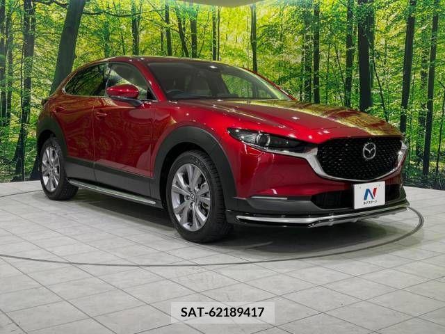 Mazda CX-30 2022-02 377084-16