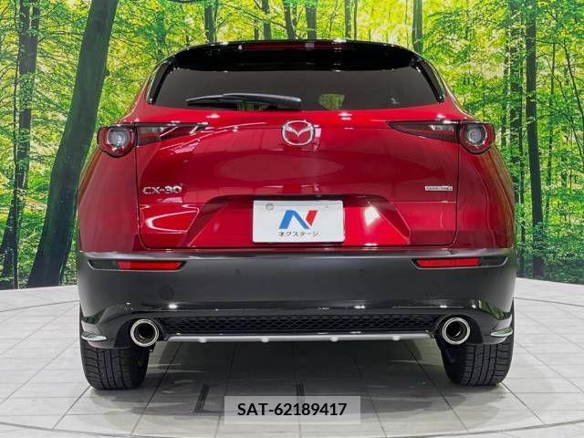 Mazda CX-30 2022-02 377084-15