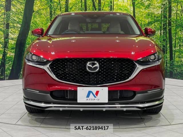 Mazda CX-30 2022-02 377084-14