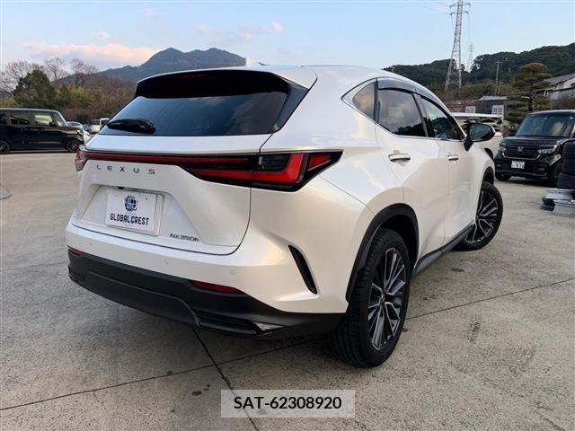 Lexus NX 2021-12 388194-4