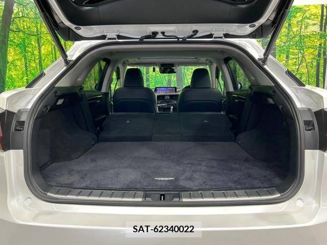 Lexus RX 2016-06 354077-10