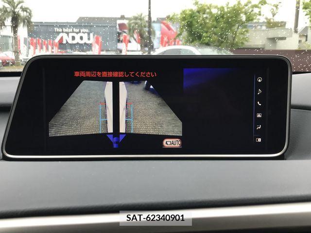 Lexus RX 2019-09 233745-15