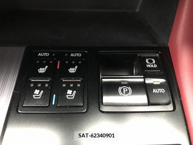 Lexus RX 2019-09 233745-17