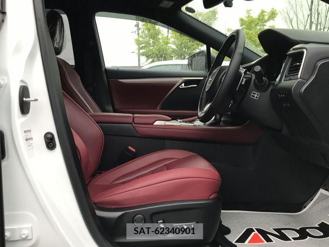 Lexus RX 2019-09 233745-10