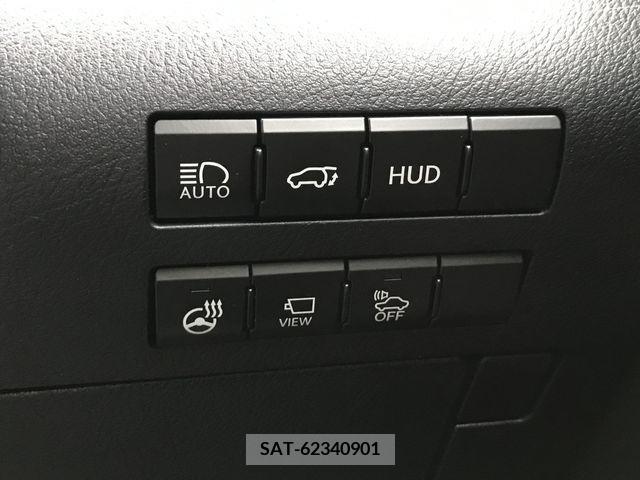 Lexus RX 2019-09 233745-18
