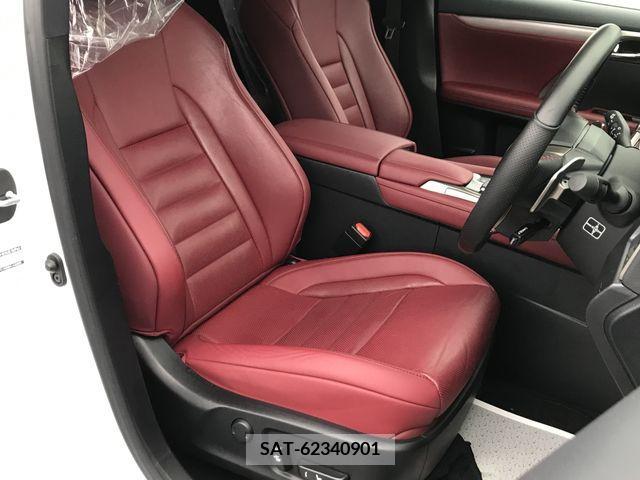 Lexus RX 2019-09 233745-11