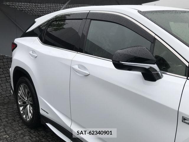 Lexus RX 2019-09 233745-4