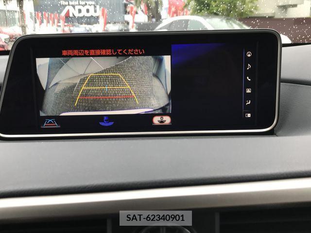 Lexus RX 2019-09 233745-13