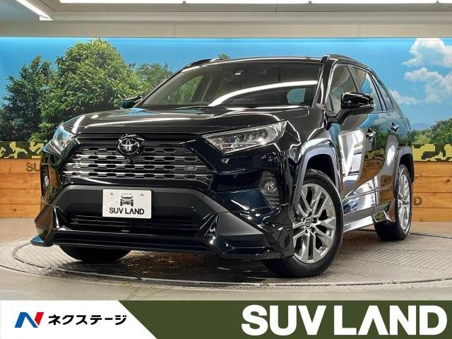 Toyota RAV4 2020-11 4569-0