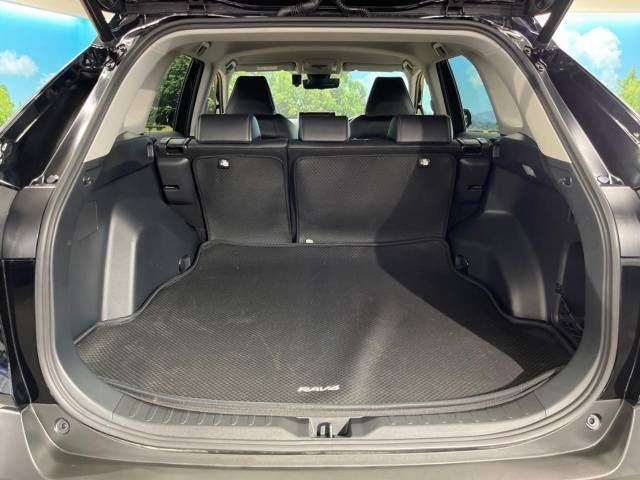 Toyota RAV4 2020-11 4569-10